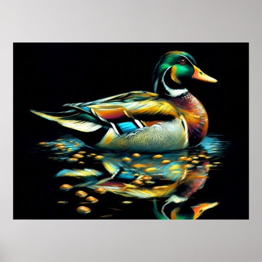 Pastel Drawing Duck op Water Poster (Voorkant)