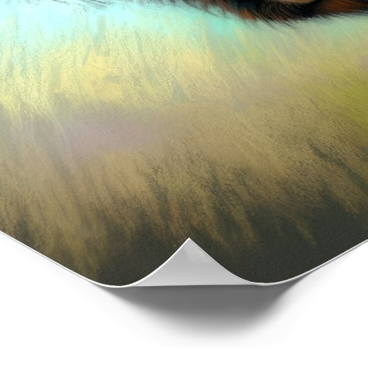 Pastel Drawing Highland Koe Poster (Hoek)