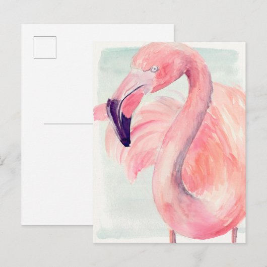 Pastel Flamingo Briefkaart (Voorkant / Achterkant)