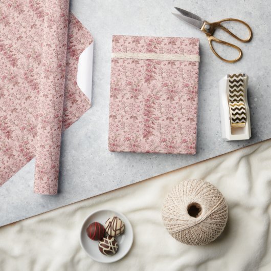 Pastel Frans Toile Cadeaupapier (Crafts)