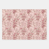 Pastel Frans Toile Inpakpapier Vel (Voorkant)