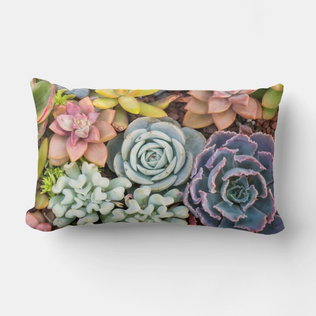Pastel gekleurd Succulent Plant Lumbar Pillow Kussen (Voorkant)