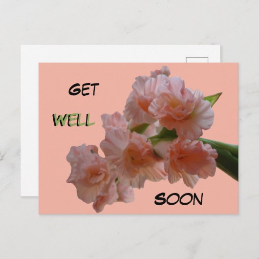 Pastel Gladiolen Aangepaste 'Beterschap' Ansichtka Briefkaart (Voorkant / Achterkant)