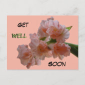 Pastel Gladiolen Aangepaste 'Beterschap' Ansichtka Briefkaart (Voorkant)