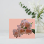 Pastel Gladioli Cust. BG-kleurenDIY-Briefkaart Briefkaart (Staand voorkant)