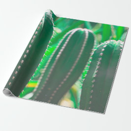 Pastel Green cactus plant verlaat pastel Cadeaupapier