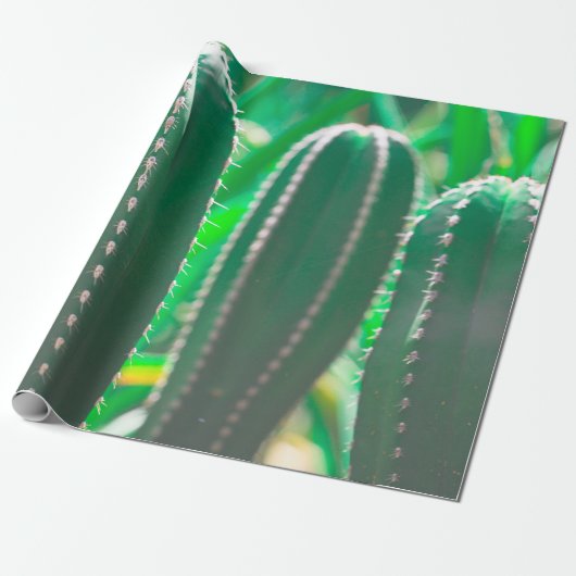Pastel Green cactus plant verlaat pastel Cadeaupapier (Uitgerold)
