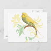 Pastel Green Parakeet Briefkaart (Voorkant / Achterkant)