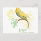 Pastel Green Parakeet Briefkaart (Voorkant)