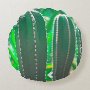 Pastel Groene cactus plant bladeren Rond Kussen