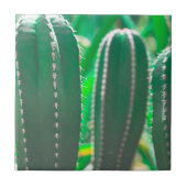 Pastel Groene cactus plant bladeren Tegeltje (Voorkant)