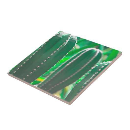 Pastel Groene cactus plant bladeren Tegeltje (Zijkant)