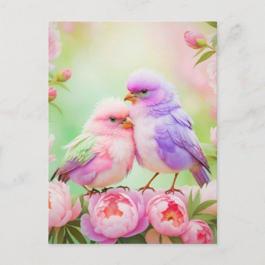 Pastel Harmony: Pluizige zangvogels Briefkaart (Voorkant)