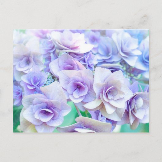 pastel hydrangea briefkaart (Voorkant)