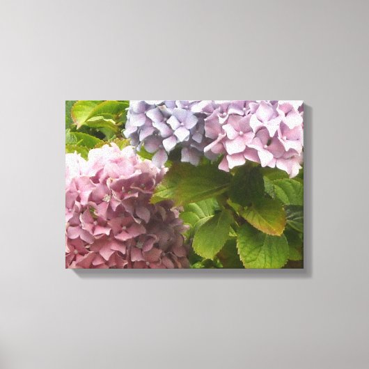 Pastel Hydrangeas Canvas Afdruk (Voorkant)