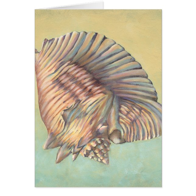 Pastel Large Conch Shell (Voorkant)