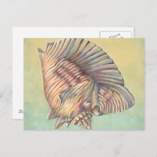 Pastel Large Conch Shell Briefkaart (Voorkant / Achterkant)