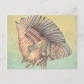 Pastel Large Conch Shell Briefkaart (Voorkant)
