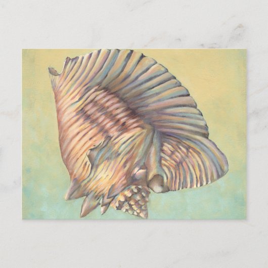 Pastel Large Conch Shell Briefkaart (Voorkant)