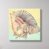 Pastel Large Conch Shell Canvas Afdruk (Voorkant)