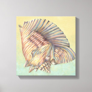 Pastel Large Conch Shell Canvas Afdruk