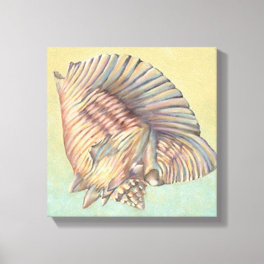 Pastel Large Conch Shell Canvas Afdruk (Voorkant)