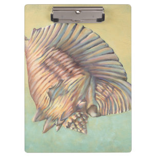 Pastel Large Conch Shell Klembord