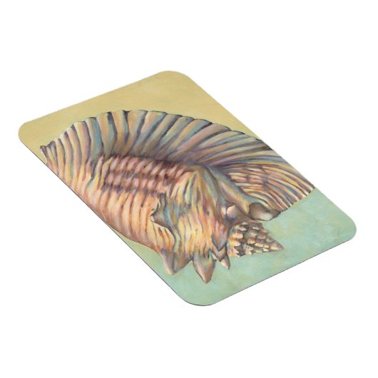 Pastel Large Conch Shell Magneet (Rechterzijde)