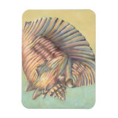Pastel Large Conch Shell Magneet (Verticaal)