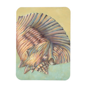 Pastel Large Conch Shell Magneet