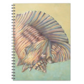 Pastel Large Conch Shell Notitieboek (Voorkant)
