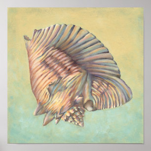 Pastel Large Conch Shell Poster