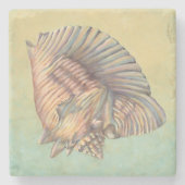 Pastel Large Conch Shell Stenen Onderzetter (Voorkant)