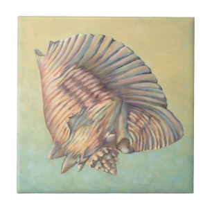 Pastel Large Conch Shell Tegeltje