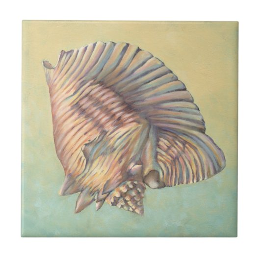 Pastel Large Conch Shell Tegeltje (Voorkant)