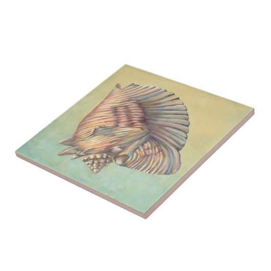 Pastel Large Conch Shell Tegeltje (Zijkant)
