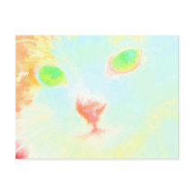 Pastel Maine Coon Cat Afbeelding - Briefkaart