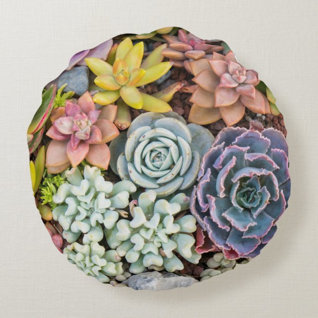 Pastel met gekleurde Succulente Planten rondraai Rond Kussen (Achterkant)