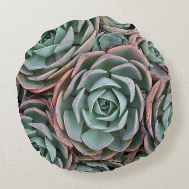 Pastel met gekleurde Succulente Planten rondraai Rond Kussen (Achterkant)