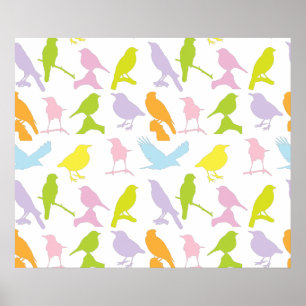 Pastel met kleurrijke variëteit vogelpatroon poster