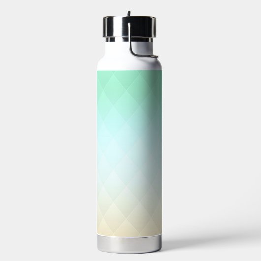 Pastel Mint Beige Argyle Patroon RVS Waterfles (Links)