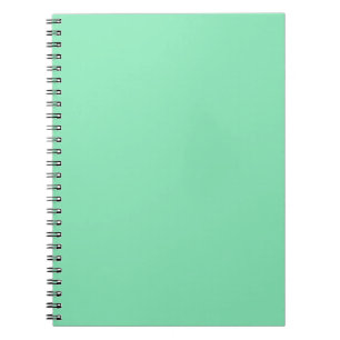 Pastel Mint Green-laptop Notitieboek