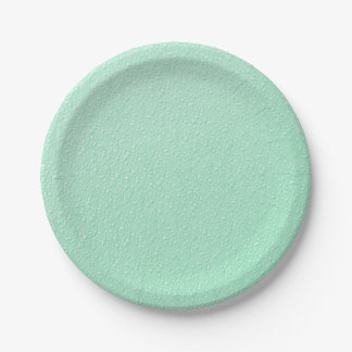 Pastel Mint Green Trendy Colors Papieren Bordje