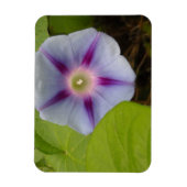 Pastel Morning Glory Magneet (Verticaal)