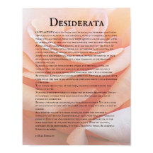 Pastel Oranje Roos en Desiderata Gedicht