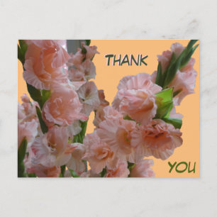Pastel Oranje Roze Gladiolen Bedankkaart Briefkaart