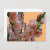 Pastel Oranje roze Gladioli Cust. DIY BRIEFKAART (Voorkant / Achterkant)