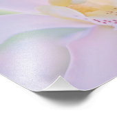 Pastel Orchid Foto Afdruk (Hoek)