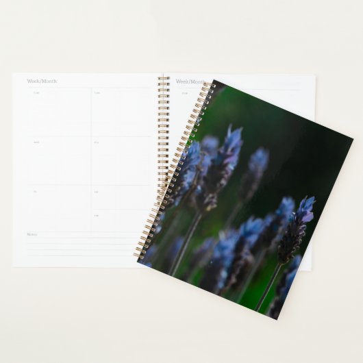 Pastel Paarse Blue Lavender Flowers Planner (Display)