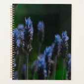 Pastel Paarse Blue Lavender Flowers Planner (Voorkant)